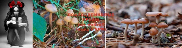 амф Алексеевка