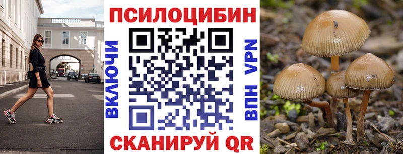 Галлюциногенные грибы мухоморы  гидра маркетплейс  Вологда 